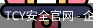TCY安全官网